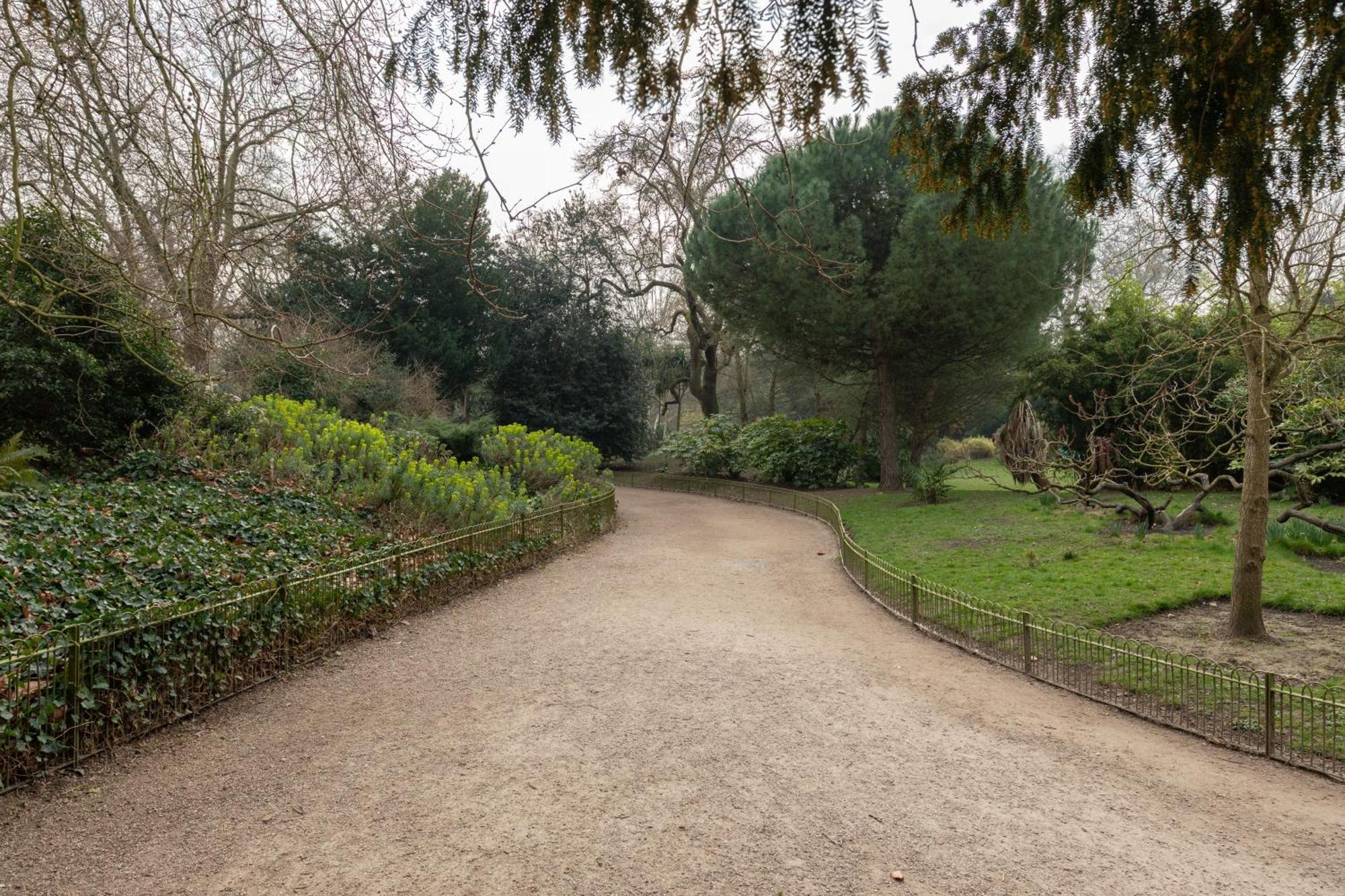 Relaxing 1-bed Haven Near Battersea Park * Londra